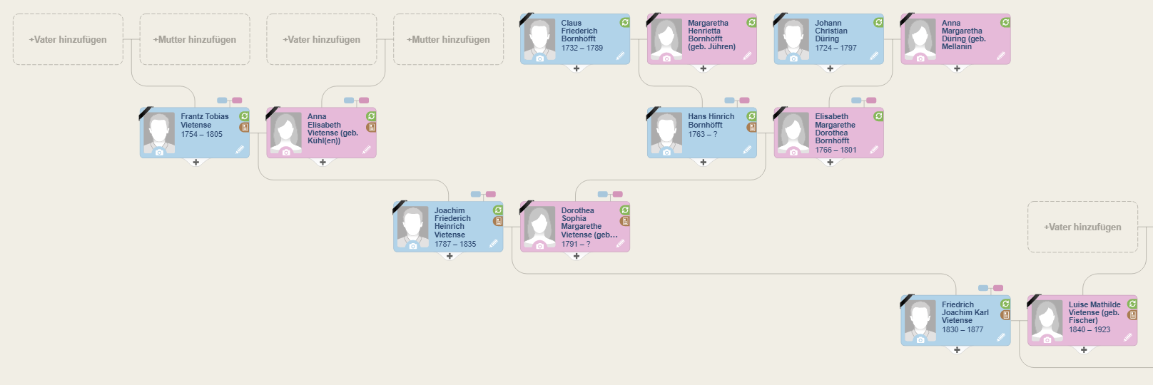 Vietense Stammbeum